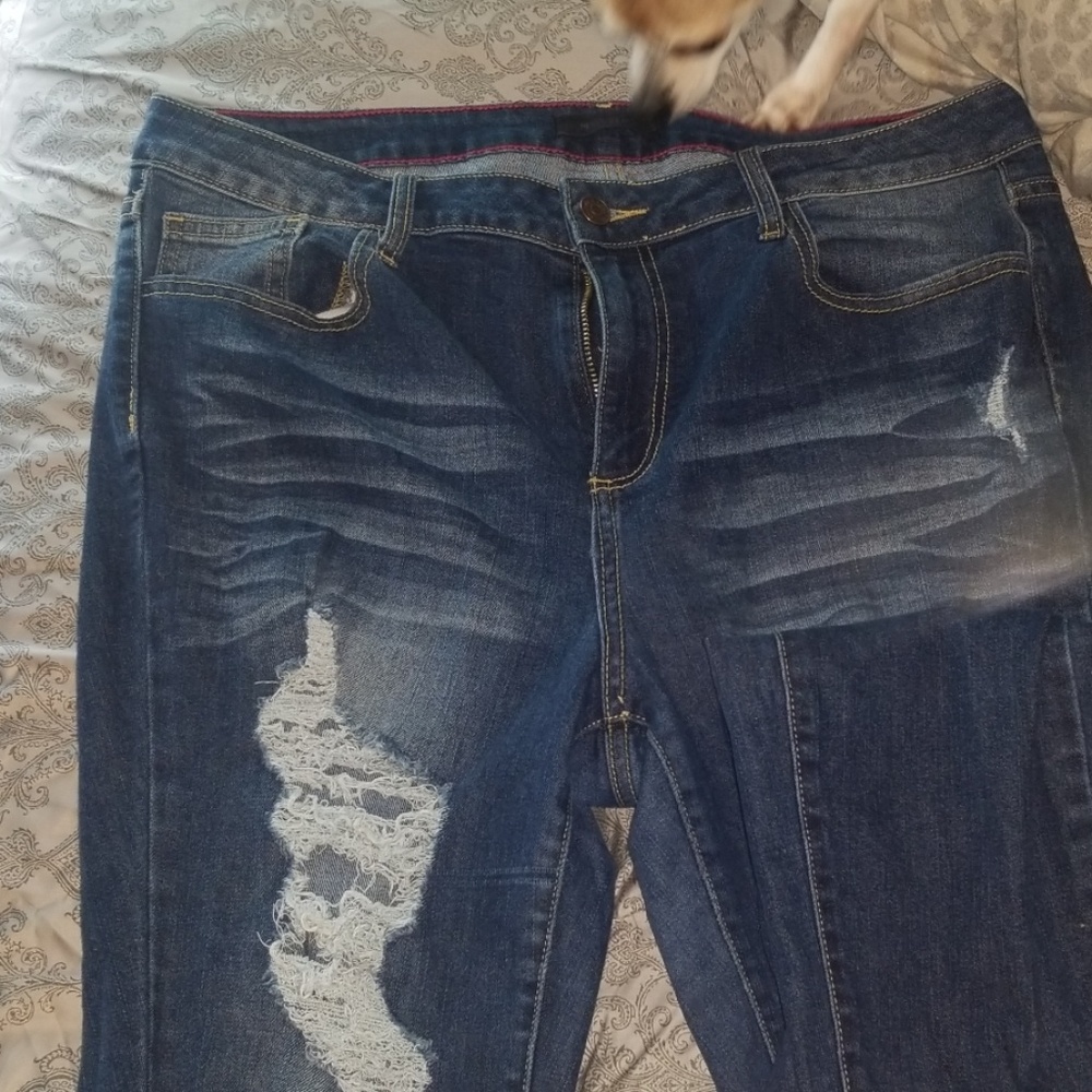 Ms. Cello brand skinny Jean's